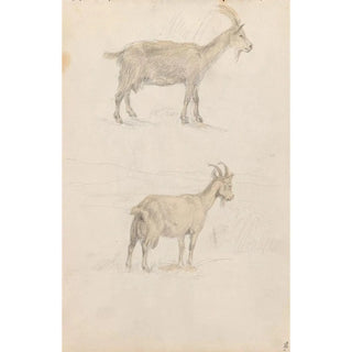 Adolph Tidemand - Geiter.webp