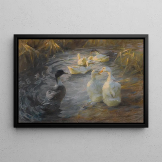 Alexander Koester - Ducks among reeds in a pond (Case Conflict).webp