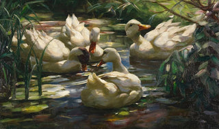 Alexander Koester - Enten auf dem Waldweiher.webp