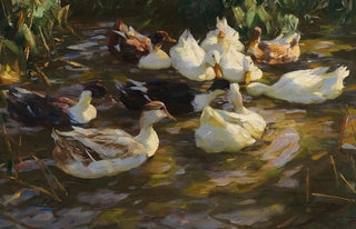 Alexander Koester - Enten im Teich Enten am Bach.webp