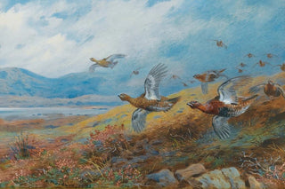 Archibald Thorburn - Driven Grouse.webp