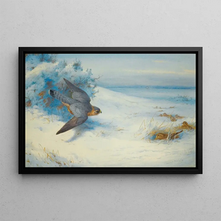 Archibald Thorburn - Merlin And Larks.webp