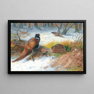 Archibald Thorburn - Pheasants In The Snow.webp