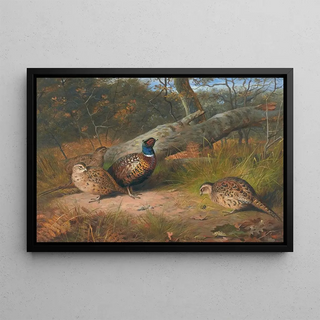 Archibald Thorburn - The Fallen Beech A Cock And Three Hen Pheasants With A Wasp.webp