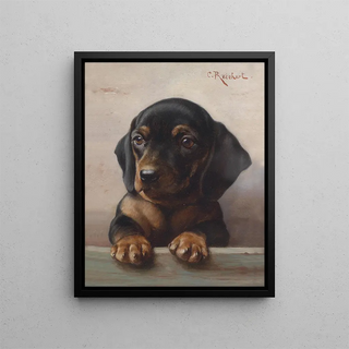 Carl Reichert - Young dachshund.webp