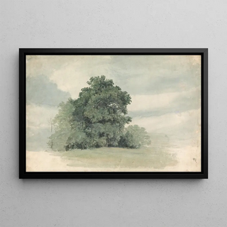 Cornelius Varley - Study of Trees at the Edge of a Field.webp