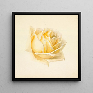 Étude d'une Rose - Paul de Longpré