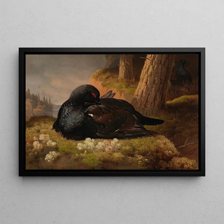 Ferdinand von Wright - Black Grouse.webp