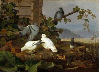Ferdinand von Wright - Pigeons.webp
