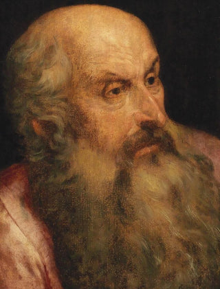 Frans Floris - A Study Of A Bearded Man.webp