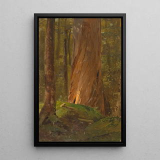 Frederic Edwin Church - Study in the Maine Woods.webp