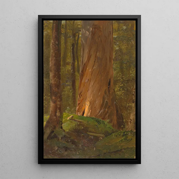 Studie i Maine-skogen - Frederic Edwin Church — inramlat konstverk på väggen