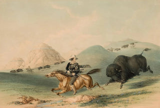 George Catlin - Buffalo Hunt Chasing Back.webp