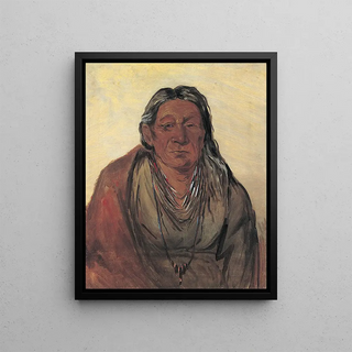 George Catlin - Wahpeshsee Mother of the Chief.webp
