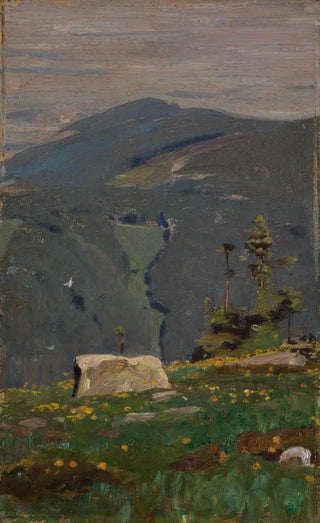 Gustav Kampmann - Blick von der Hornisgrinde.webp