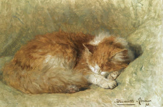 Henritte RonnerKnip - A sleeping cat.webp