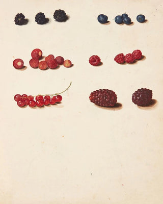 Johanna Fosie - Studie af diverse br.webp