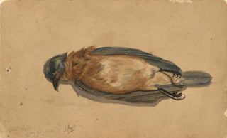 John La Farge - Dead Bird.webp