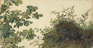 Kilian Zoll - Study of Vegetation.webp