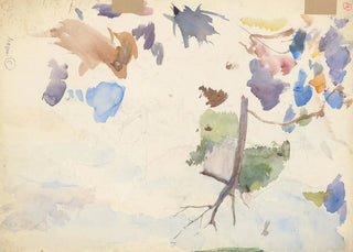 Ladislav Mednynszky - Study of mountain flowers.webp