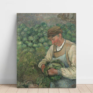 Le jardinier - Vieux paysan au chou - Camille Pissarro | Reproduction Tableau Décoration murale affiche copie