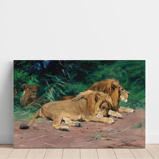 Lions au repos - Wilhelm Kuhnert | Reproduction Tableau Décoration murale affiche copie