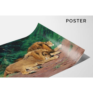 Lions au repos - Wilhelm Kuhnert | Reproduction Tableau Décoration murale affiche copie