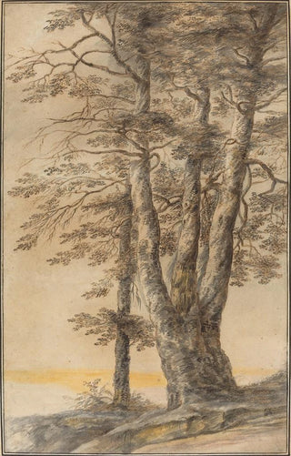 Lucas van Uden - Study of Trees.webp