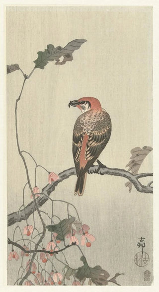 Ohara Koson - Crossbill on tree branch.webp