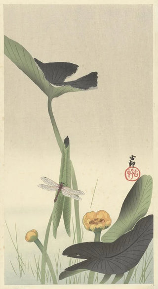 Ohara Koson - Dragonfly and lotus.webp