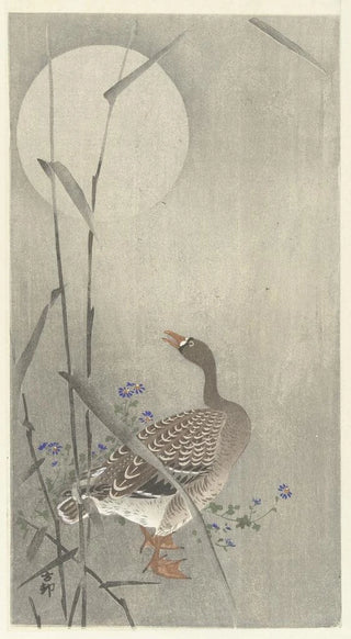 Ohara Koson - Goose at full moon.webp
