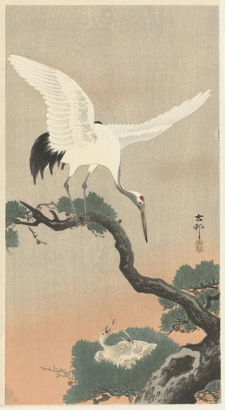 Ohara Koson - Japanese common crane on branch of pine.webp
