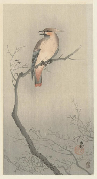 Ohara Koson - Japanese waxwing on branch.webp