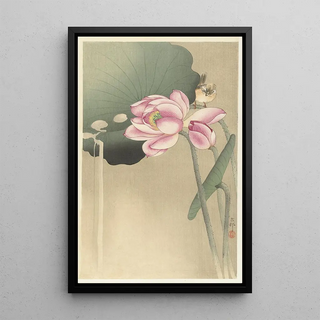 Ohara Koson - Songbird and Lotus.webp