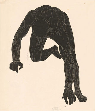 Reijer Stolk - Anatomical study of the neck arm and leg muscles of a man in silhouette.webp