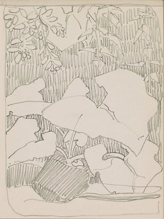 Reijer Stolk - Plant en hangende takken met bladeren.webp