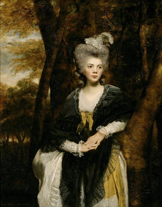 Sir Joshua Reynolds - Lady Frances Finch.webp