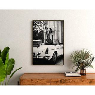 Talons au Vent | Décoration photo en noir et blanc