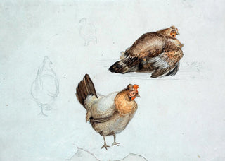 Theodor Philipsen - Hns Studie.webp