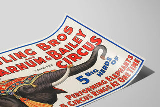 5-big-herds-of-performing-elephants-in-5-circus-rings-at-one-time