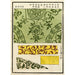 Reproduktion av målningen Estampes chinoises pl26 - A F Stoddard Company