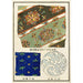 Estampes chinoises pl83 - A F Stoddard Company — vy av konstverket
