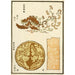 Reproduktion av målningen Estampes chinoises pl90 - A F Stoddard Company