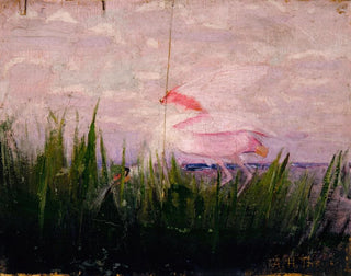 Abbott Handerson Thayer - Roseate Spoonbill study for book Concealing Coloration in the Animal Kingdom.webp