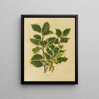 Abraham Jacobus Wendel - Nederlandsche flora en pomona Pl18.webp