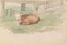 Veau Couché - Adolph Tidemand — vy av konstverket