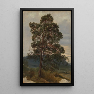 Adolph Tidemand - Study of a Pine Tree.webp
