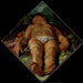 Adonis mourant - Hendrick Goltzius — vy av konstverket