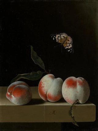 Adriaen Coorte - Drei Pfirsiche auf einem Steinsims mit einem Distelfalter.webp