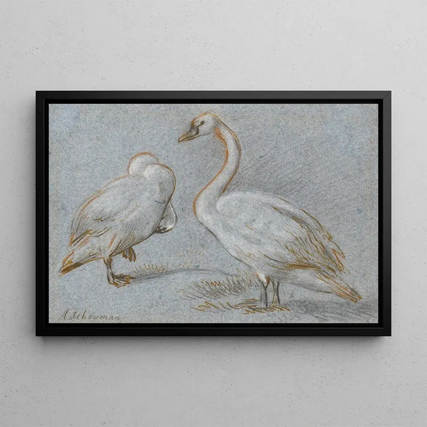 Aert Schouman - A Pair Of Standing Swans One Preening.webp
